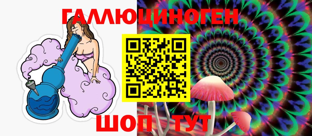Галлюциногенные грибы Psilocybe  Псилоцибиновые грибы MAGIC MUSHROOMS  Вольск  Вход с VPN 