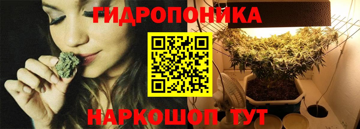 Каннабис AK-47  Бошки Шишки марихуана  Бошки марихуана гибрид  Вход с VPN  Вольск 